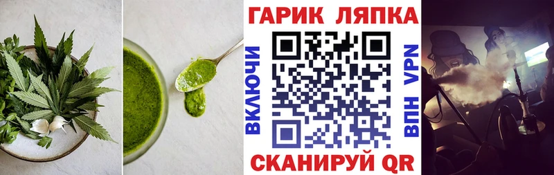 блэк спрут как зайти  купить закладку  Великий Устюг  Cannafood конопля 