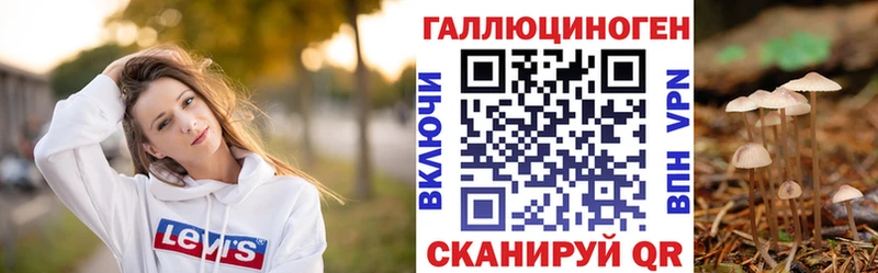 Псилоцибиновые грибы Psilocybine cubensis  Великий Устюг 