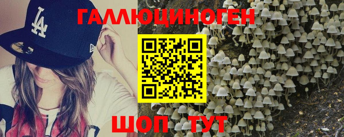Великий Устюг  Галлюциногенные грибы ЛСД  Вход с VPN 