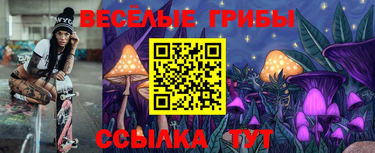 Псилоцибиновые грибы Psilocybe Великий Устюг