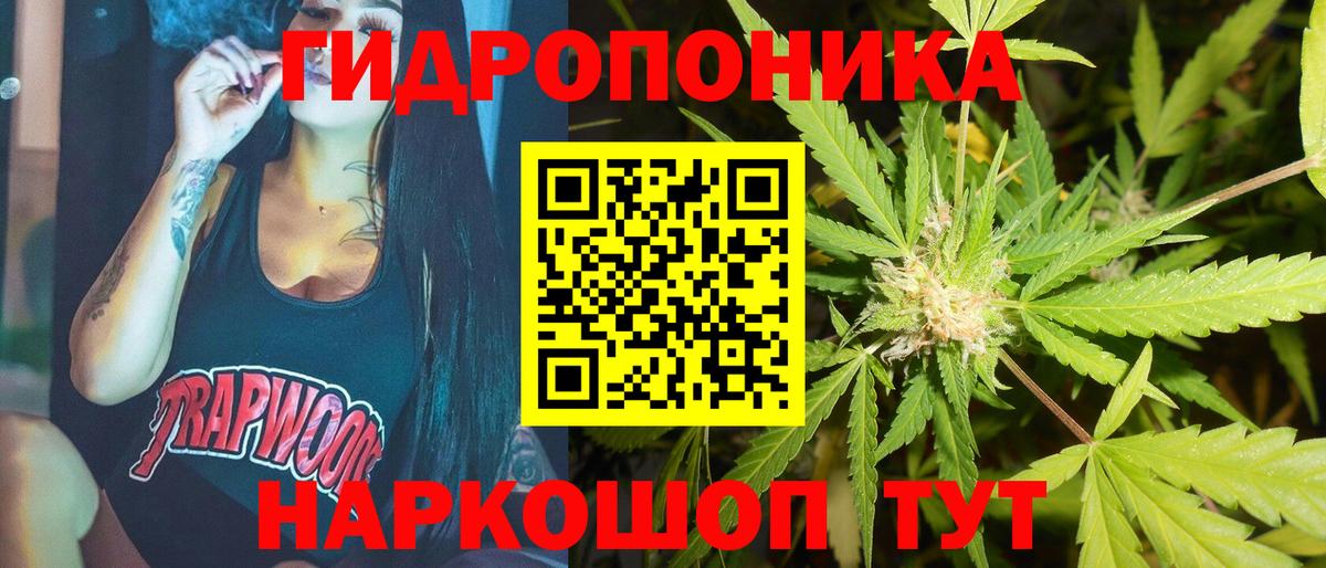 Бошки Шишки SATIVA & INDICA  Канабис THC 21%  Марихуана семена  Каннабис план  Великий Устюг  Вход с VPN 